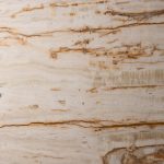 Persian Honey - تصویر 2